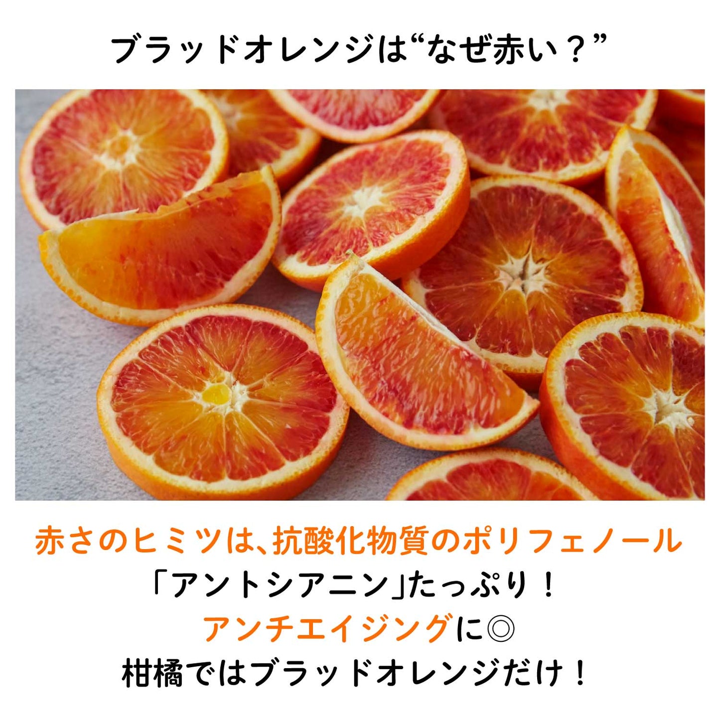 【再入荷】ブラッドオレンジ”タロッコ”フルーツチョコレート
