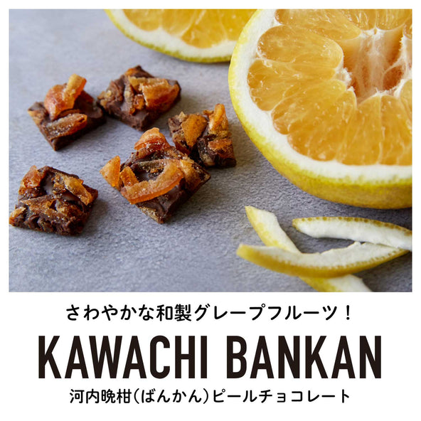 【3袋セット】ひとくち柑橘(かんきつ)フルーツチョコ3種セット