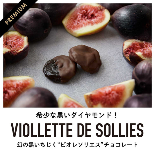 【NEW】幻の黒いちじく"ビオレソリエス"フルーツチョコレート