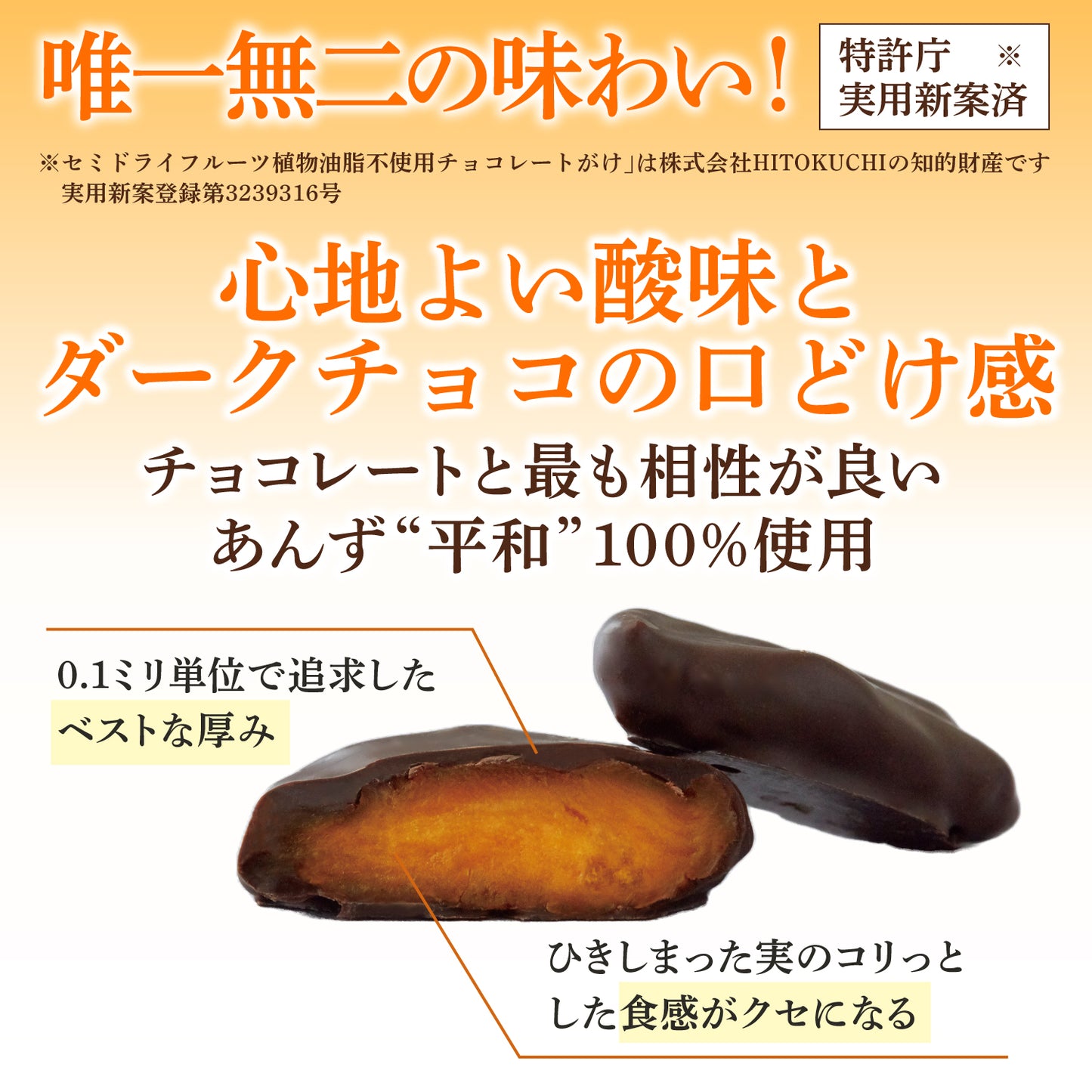 【今夏再販予定】ひとくち"あんずの里"フルーツチョコレート｜『日本一のあんずの里』長野千曲産あんず"平和"100％使用